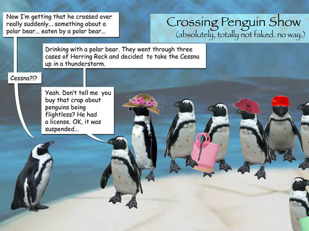 Pengcognito - Weekly Penguin Cartoon